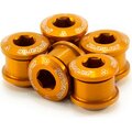 Garbaruk Chainring bolts 6mm CroMo - 5pcs Orange