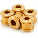 Garbaruk Chainring bolts 6mm CroMo - 5pcs Gold