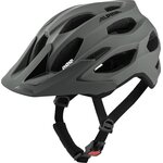 Alpina Carapax 2.0 Harmaa
