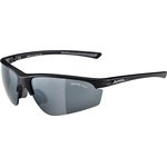 Alpina Tri-Effect eyewear Black