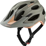 Alpina Carapax 2.0 Kuun harrmaa/persikka