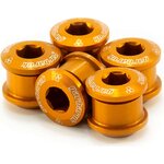 Garbaruk Chainring bolts 6mm CroMo - 5pcs