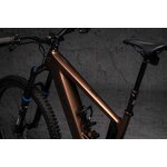 Dyedbro E-Bike Clear Gloss Black