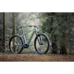 Cannondale Trail Neo Performance