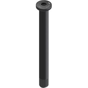 DT Swiss DT Thru Axle, RWS Front 121 mm 12 mm 1,5 Black