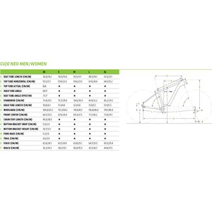Cannondale Cujo Neo 2 -18
