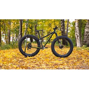 Cannondale Fat Caad 1