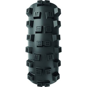 Vittoria Mota G2 29"