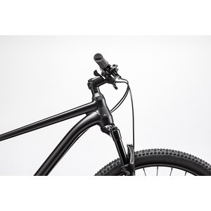 Cannondale Trail 2 SE