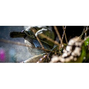 Muc-Off Claw Brush rataspakan pesuharja