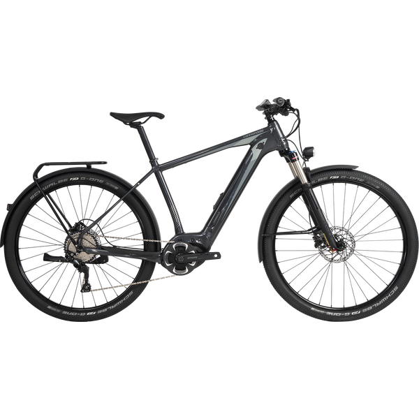 Cannondale Tesoro Neo X 2